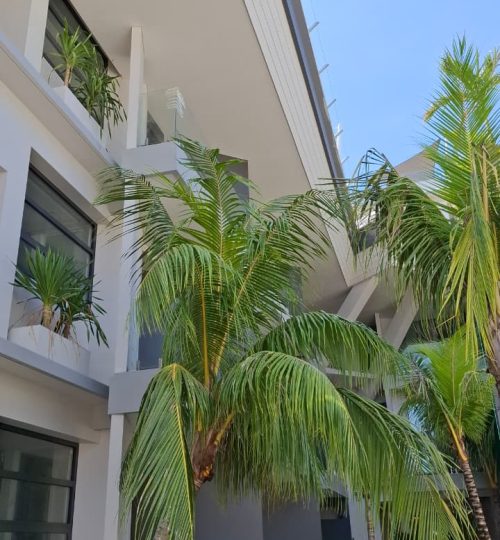 WhatsApp Image 2026-03-04 at 14.38.27