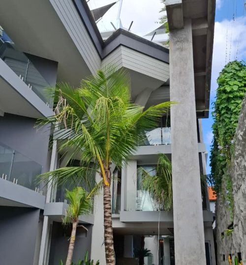 WhatsApp Image 2026-03-04 at 14.38.28 (1)